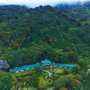 Hotel Finca Lerida Coffee Plantation And Boutique Hotel